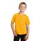Port & Company® Colors Fan Favorite™ Youth T-Shirt
